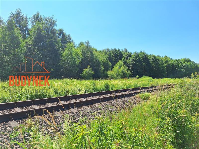 Działka rolna - Sińczyca  (8)