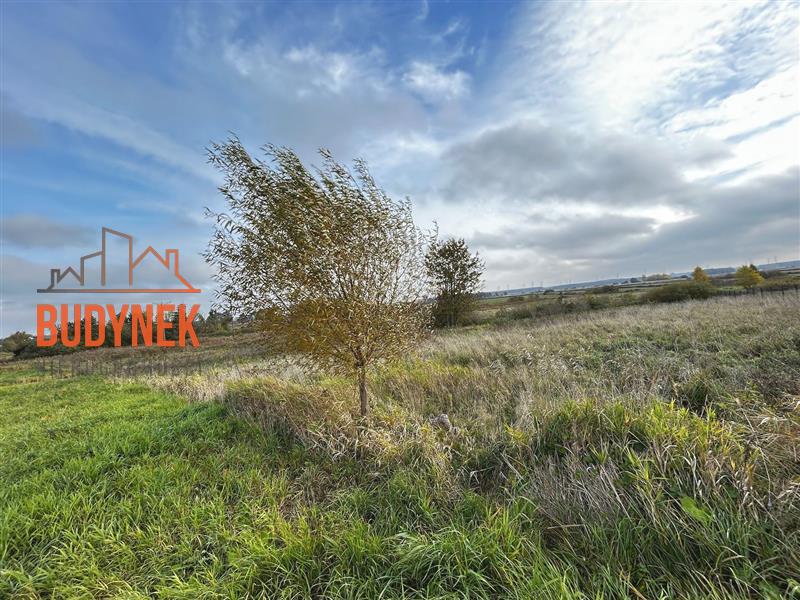 Działka budowlana - Bobolin  (6)