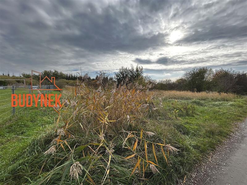 Działka budowlana - Darłowo  (5)