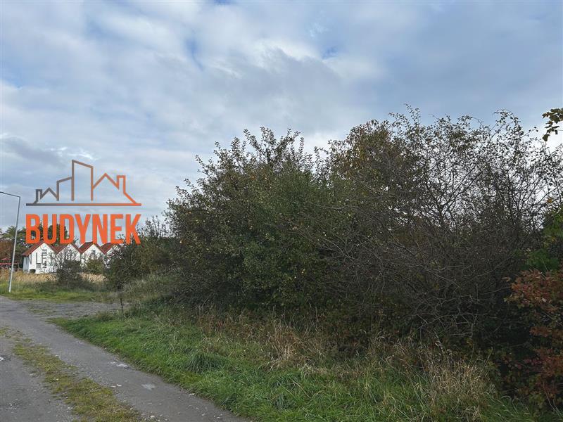 Działka budowlana - Darłowo  (8)