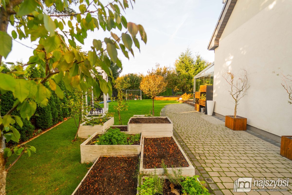 ZIELENIEWO - Morzyczyn - jezioro Miedwie 
 - pół  (10)