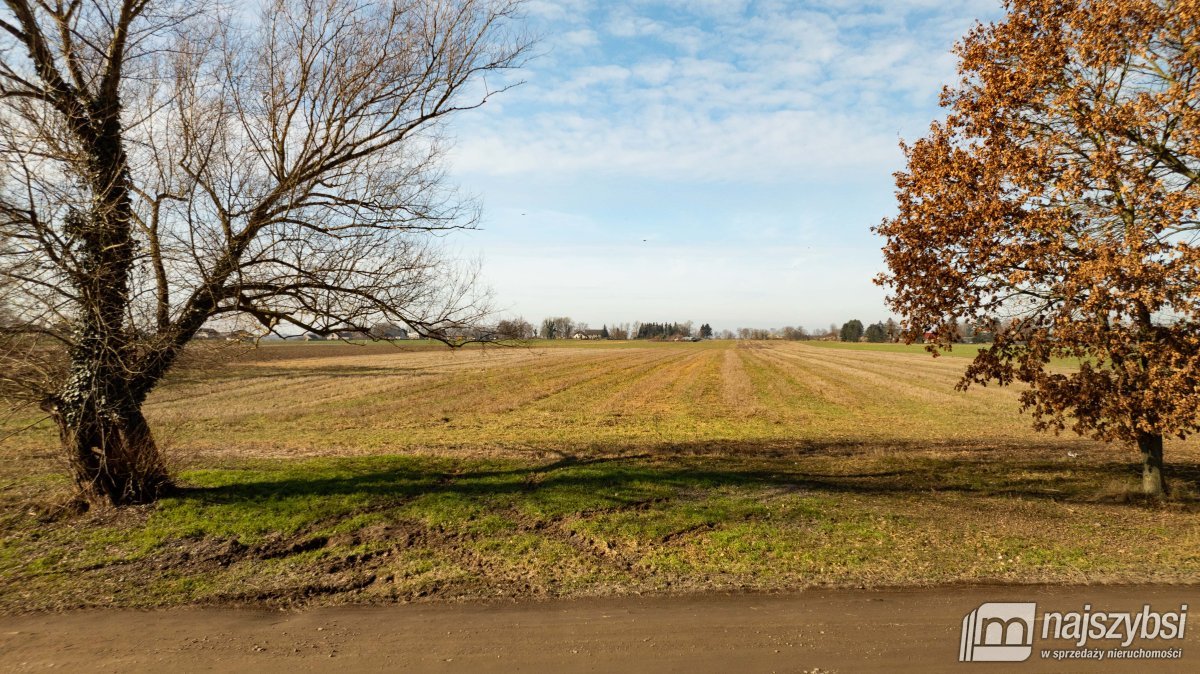 Wojcieszyn - dzialka na sprzedaż (2)