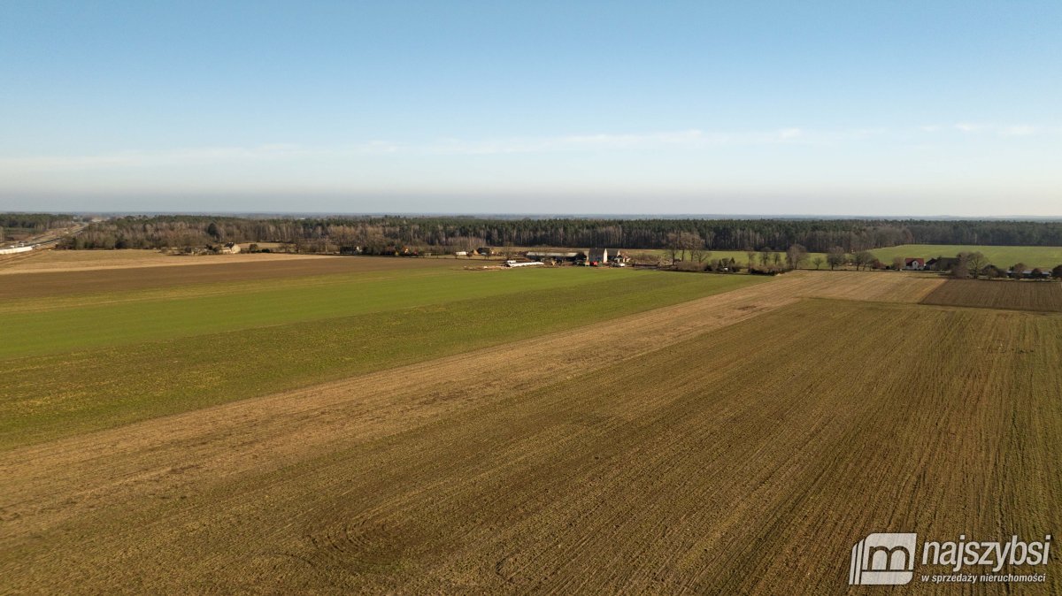 Wojcieszyn - dzialka na sprzedaż (6)