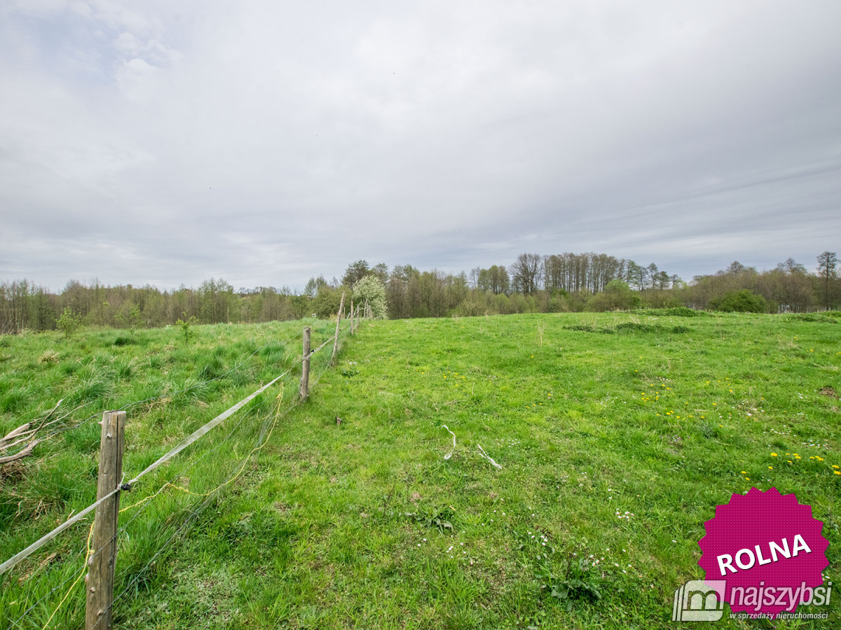Działka rolna gm. Węgorzyno (1)