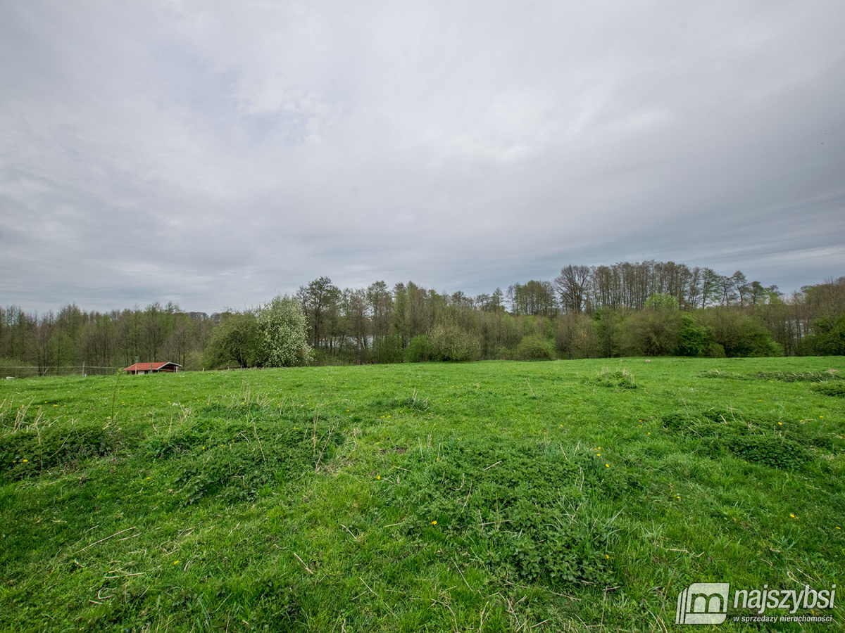 Działka rolna gm. Węgorzyno (12)