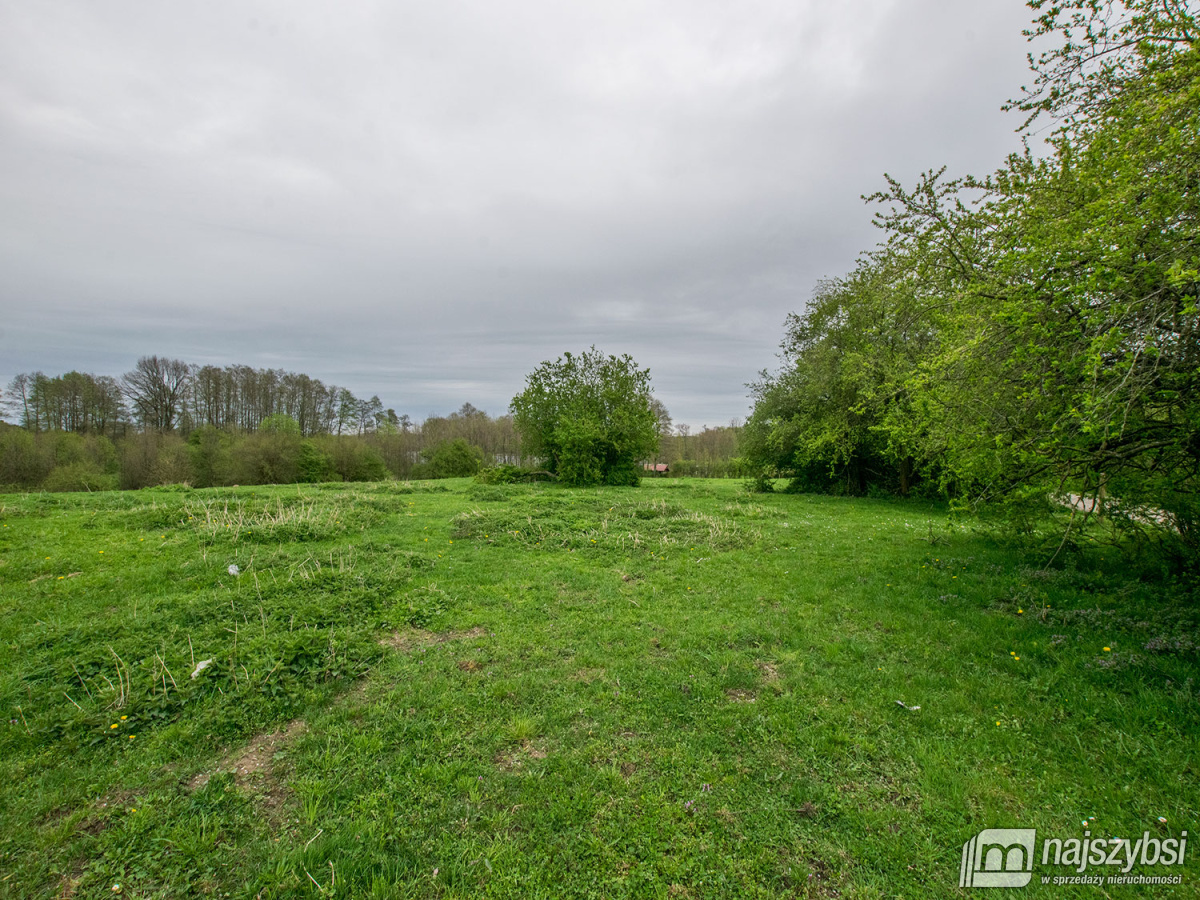 Działka rolna gm. Węgorzyno (13)