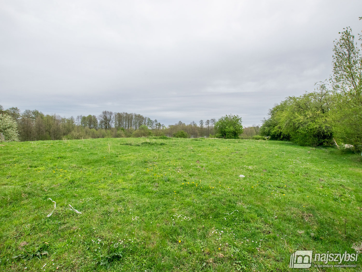Działka rolna gm. Węgorzyno (2)