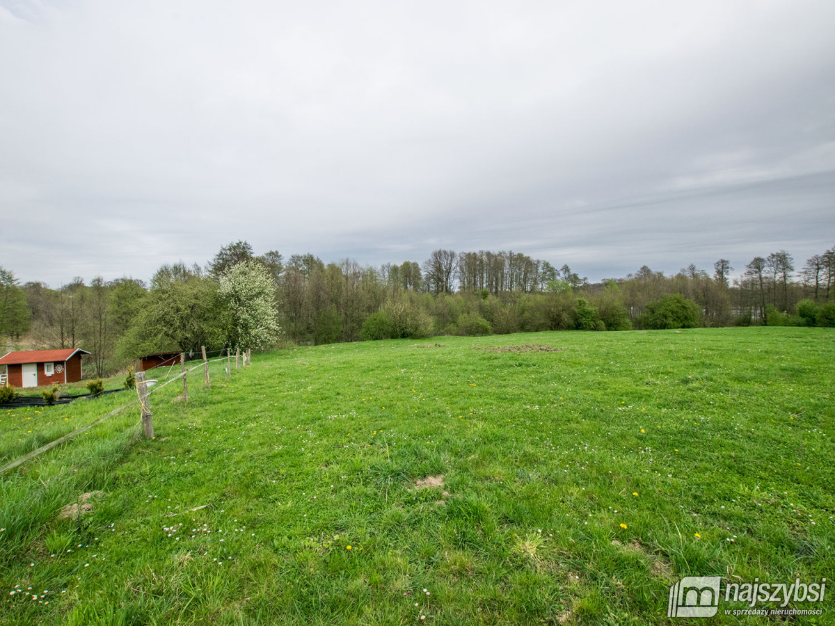 Działka rolna gm. Węgorzyno (4)