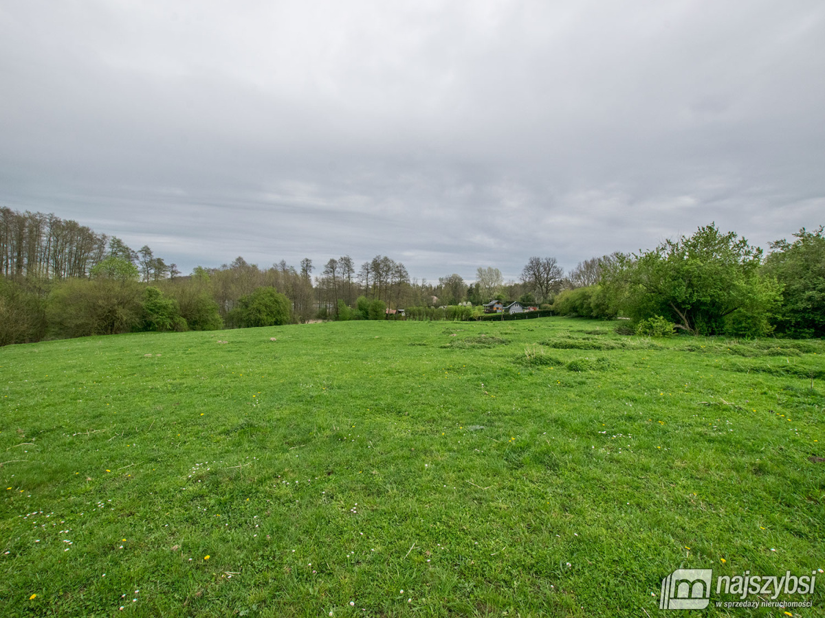 Działka rolna gm. Węgorzyno (8)