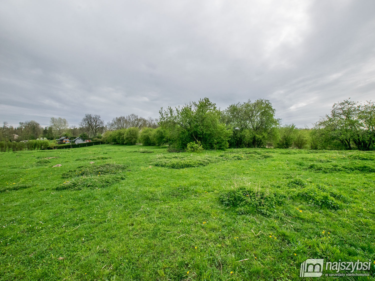 Działka rolna gm. Węgorzyno (9)