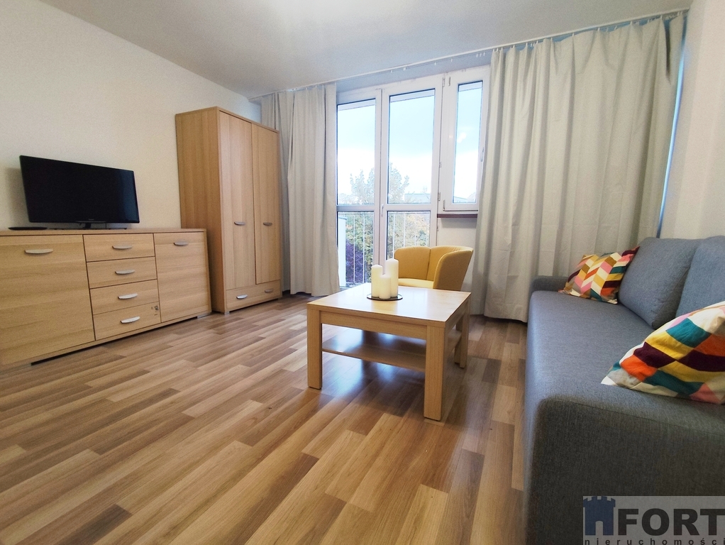 Przestronna Kawalerka do wynajmu- blisko centrum (1)