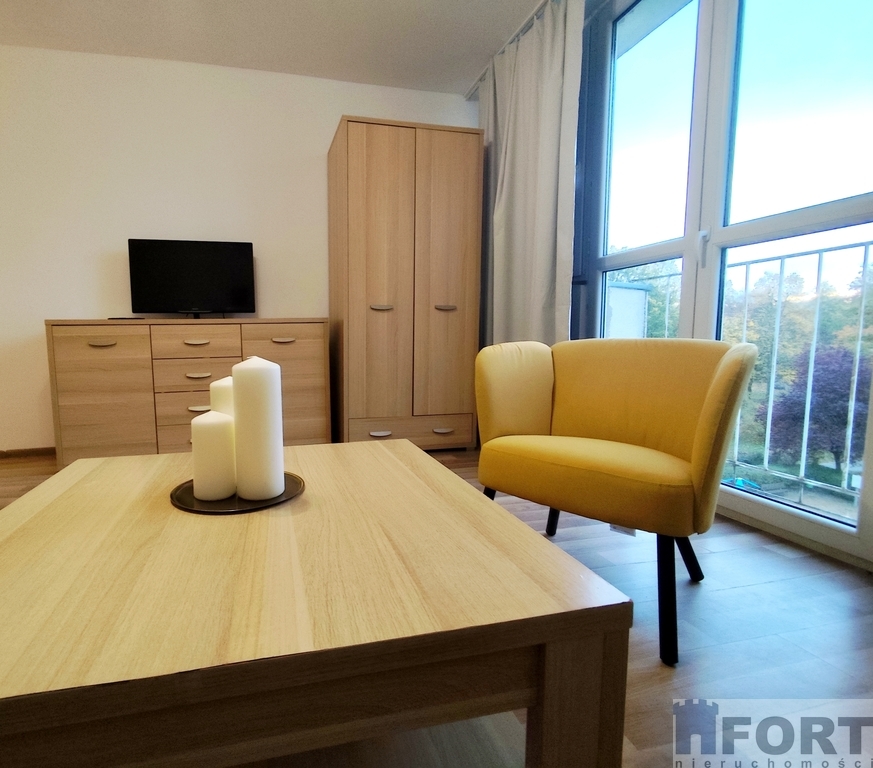 Przestronna Kawalerka do wynajmu- blisko centrum (3)