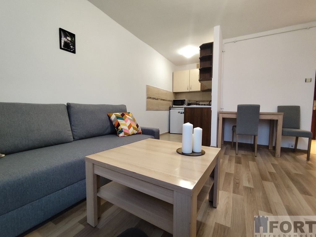 Przestronna Kawalerka do wynajmu- blisko centrum (6)