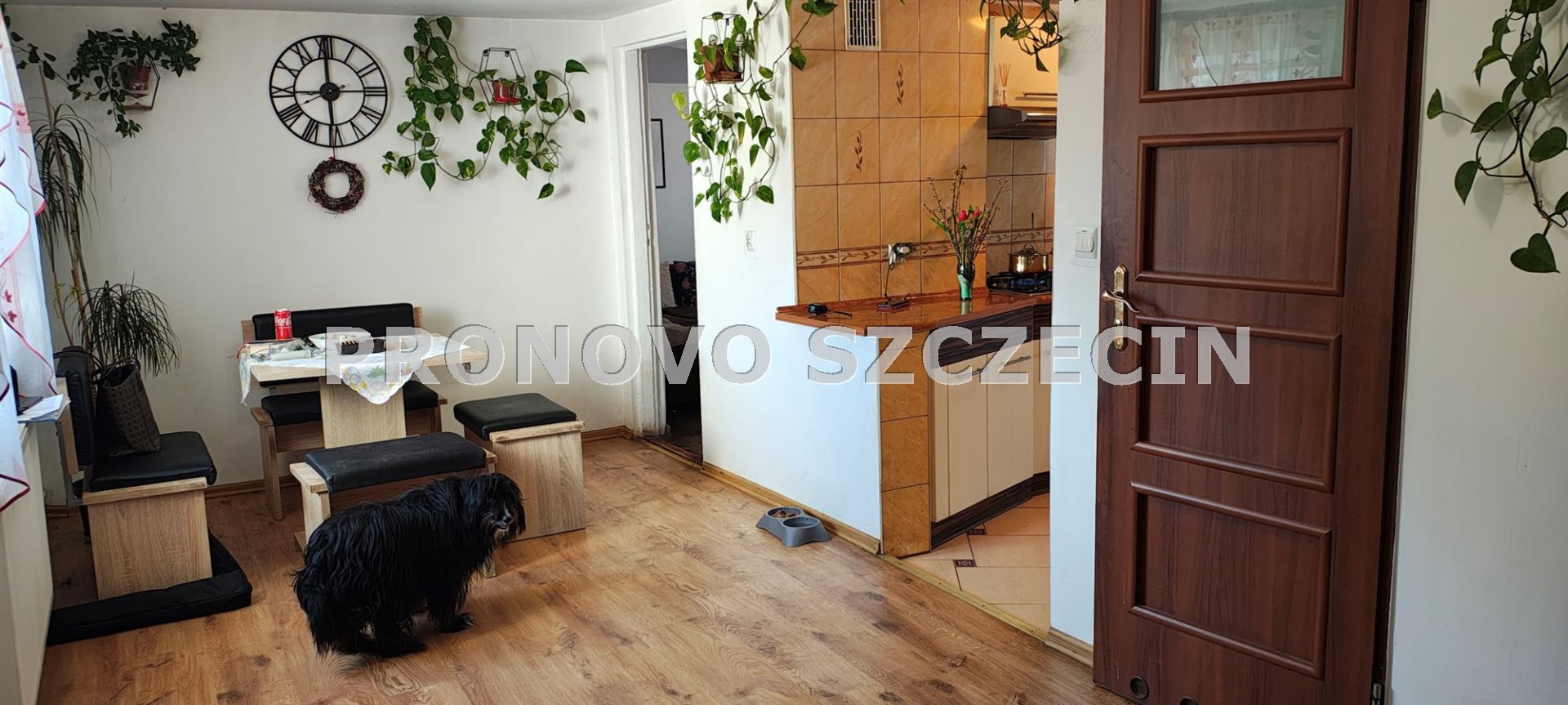 Kłodzino,Przelewice nieruchomość gruntowa dom  (17)