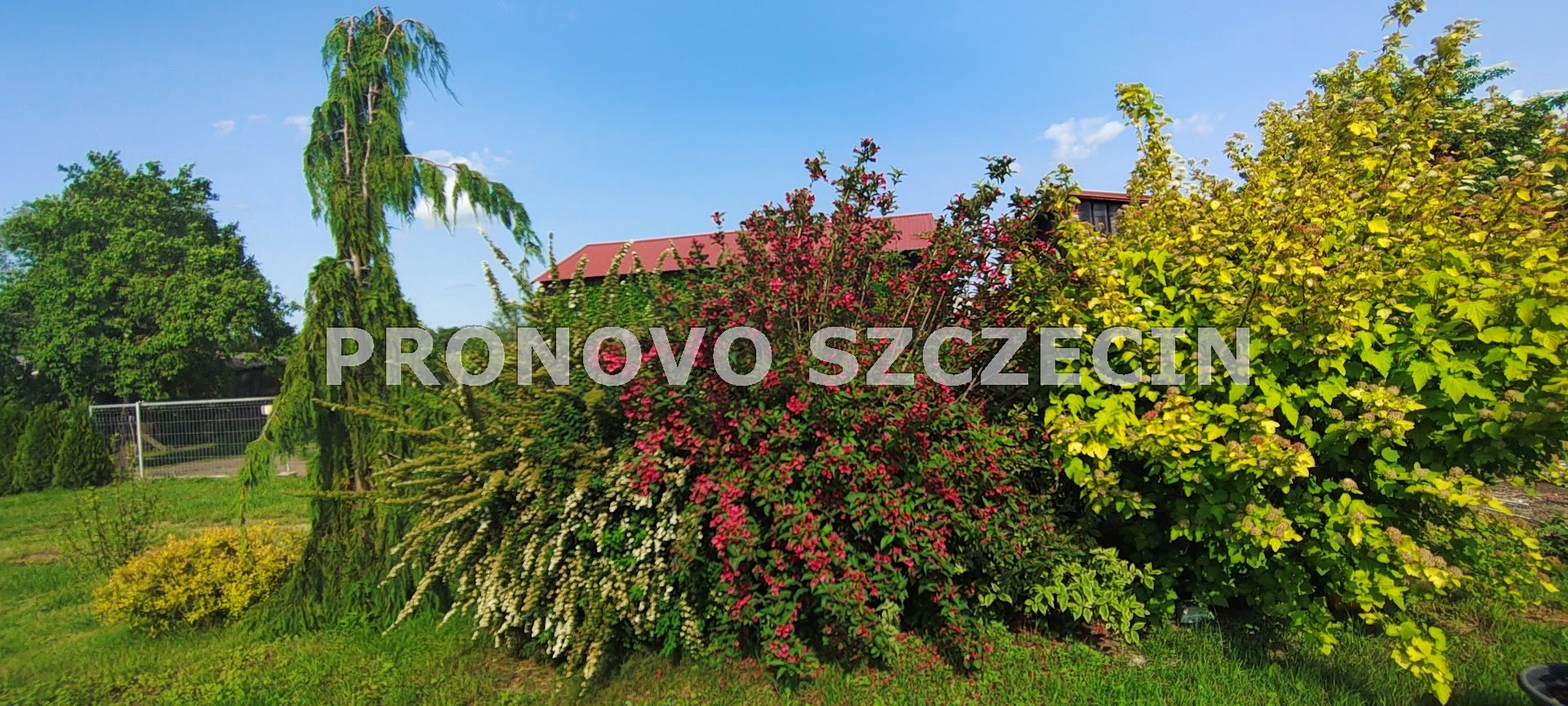 Kłodzino,Przelewice nieruchomość gruntowa dom  (25)