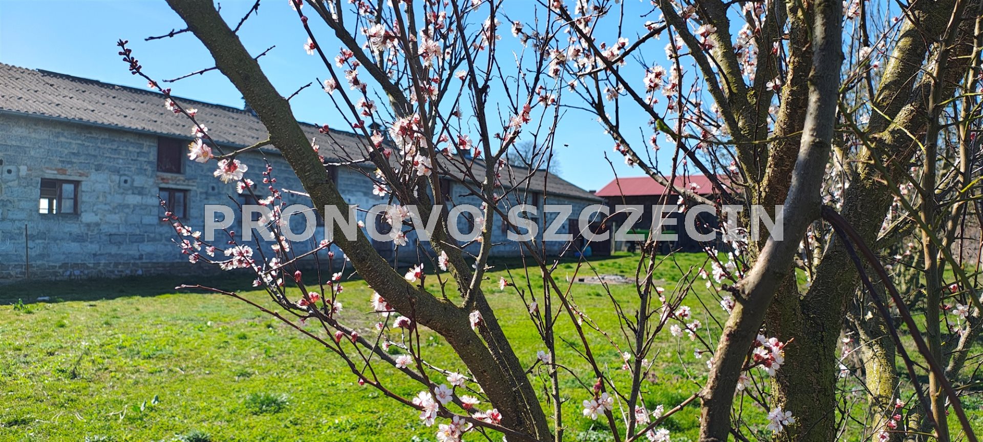 Kłodzino,Przelewice nieruchomość gruntowa dom  (3)