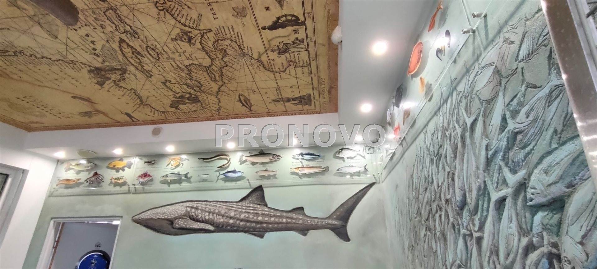 Niechorze,nieruchomość mieszkalno-usług. sprzedaż. (27)