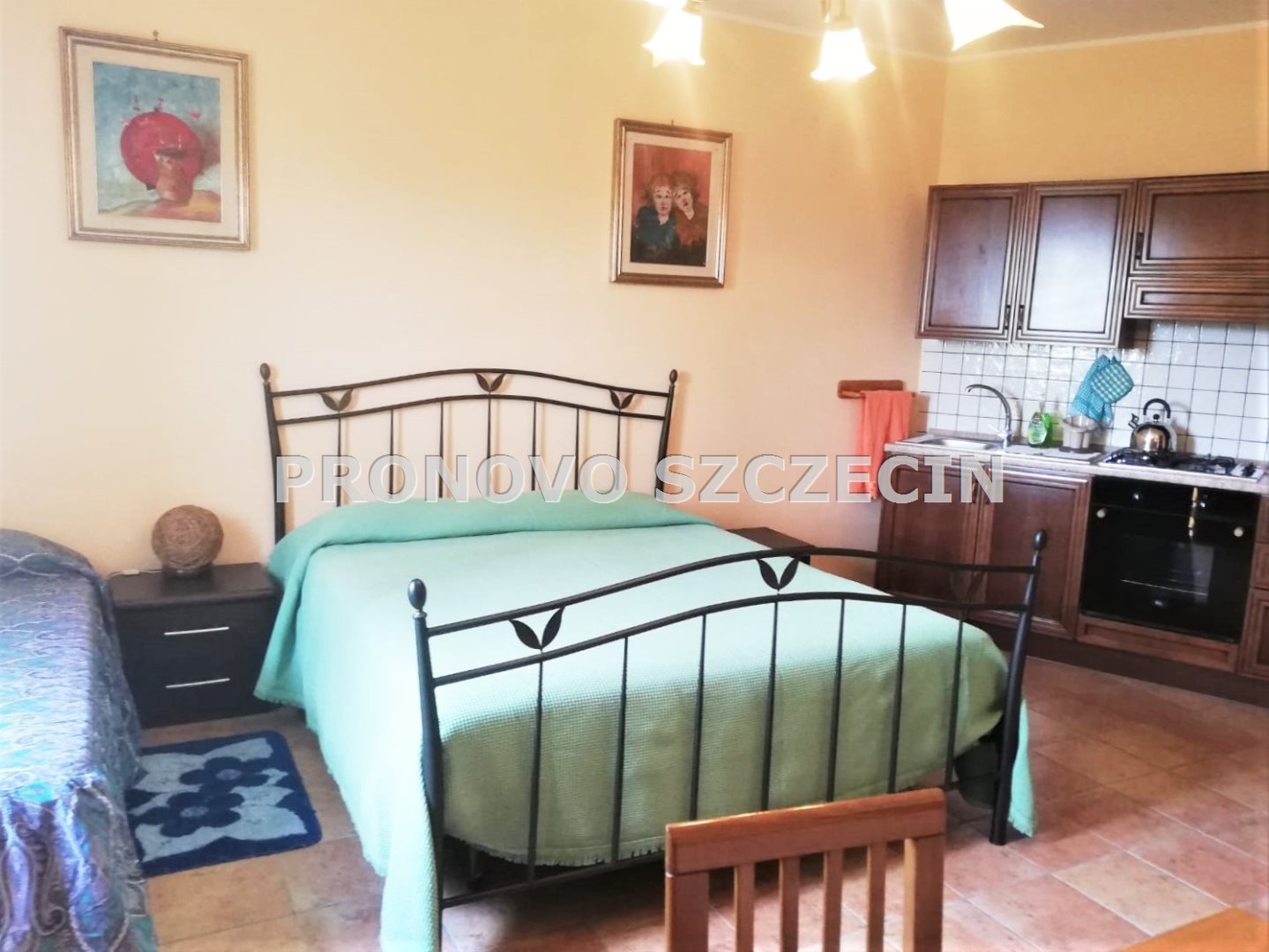 Dom z ogrodem w  Gerano, 40 km od Rzym, sprzedaż. (21)