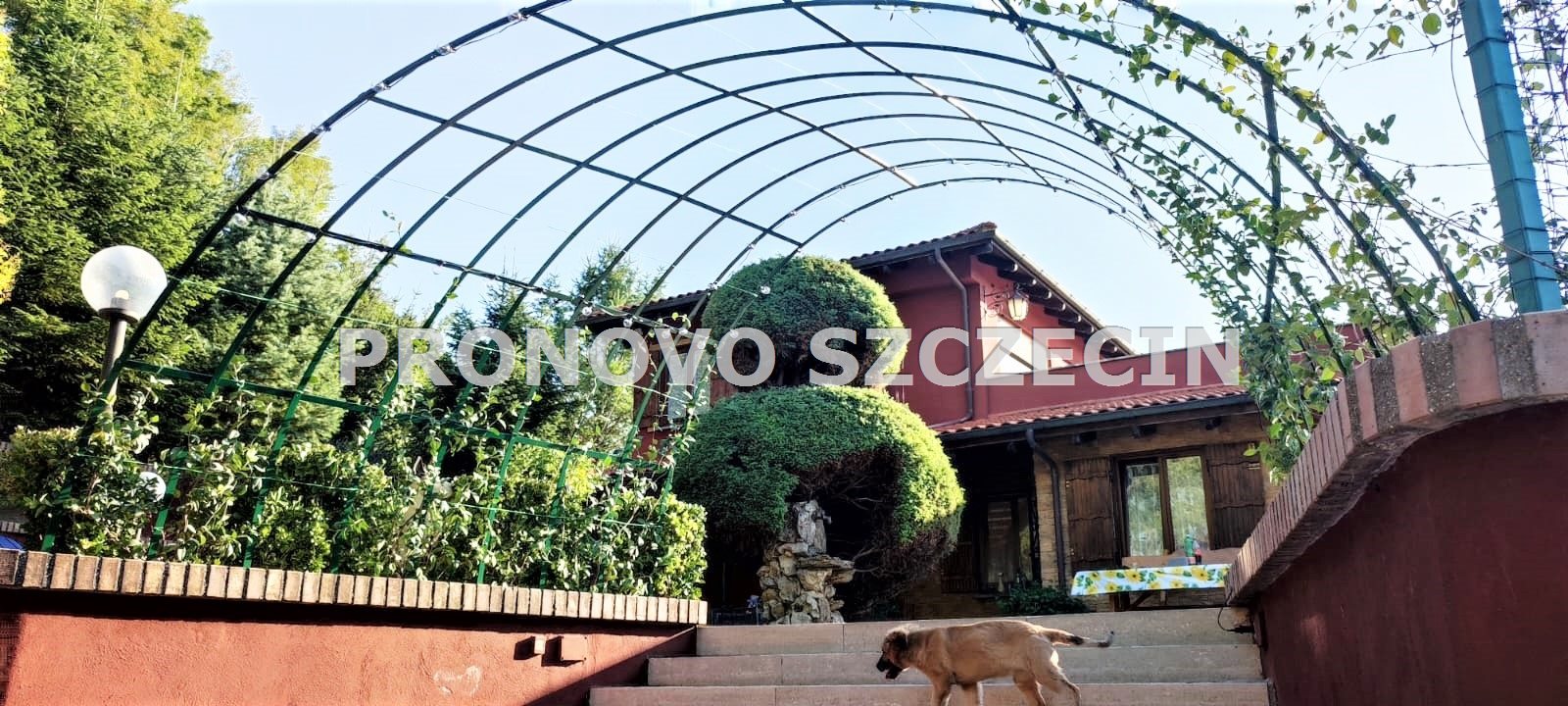 Dom z ogrodem w  Gerano, 40 km od Rzym, sprzedaż. (33)