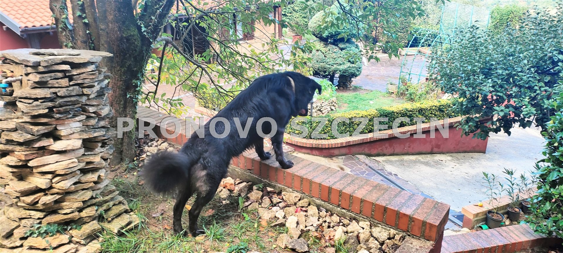 Dom z ogrodem w  Gerano, 40 km od Rzym, sprzedaż. (38)