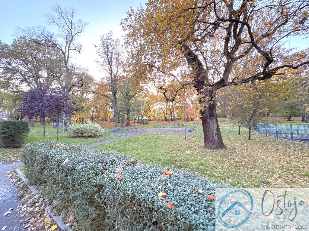 Piękne 2 pokoje I Wysoki standard I Widok na park (19)