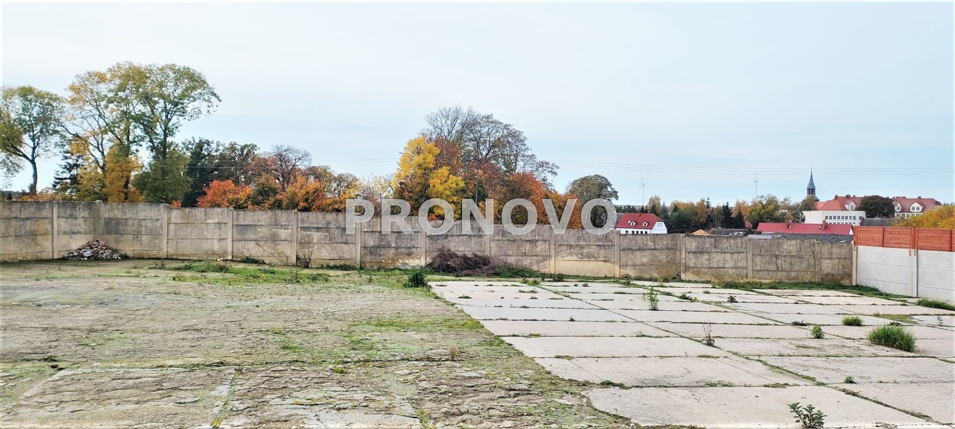 Nieruchomość usługowo-mieszkalna w Pełczycach (14)