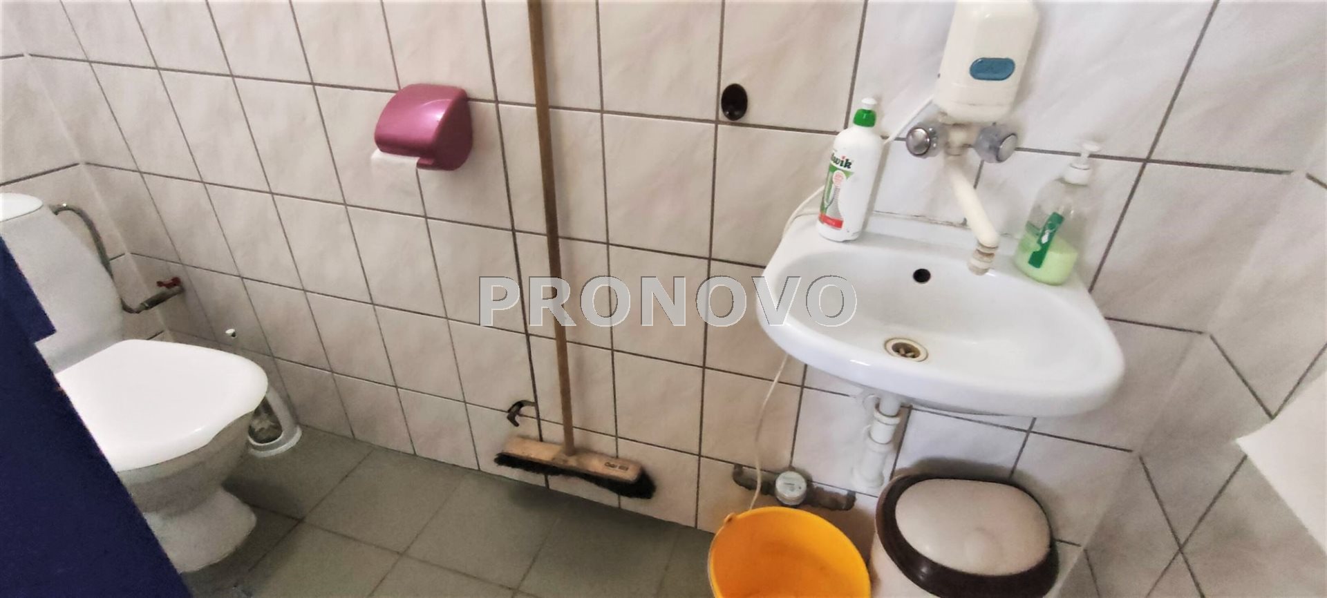 Nieruchomość usługowo-mieszkalna w Pełczycach (17)