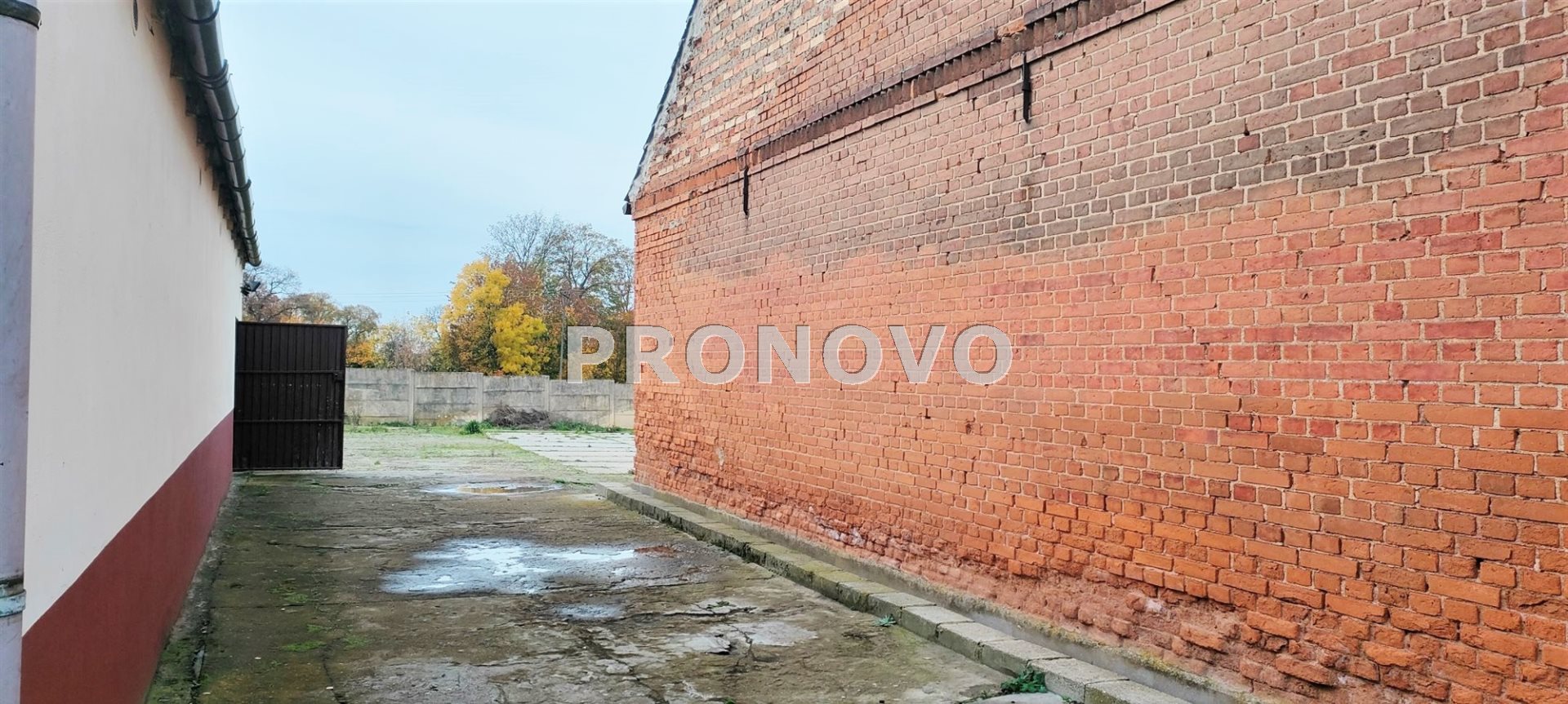 Nieruchomość usługowo-mieszkalna w Pełczycach (7)