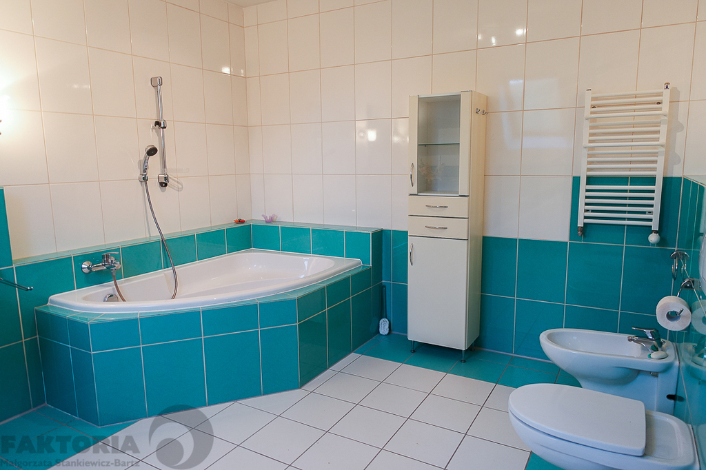 Gumieńce dom wolno stojący z 2000 r. 1,75 mln (15)