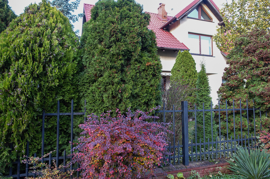 Gumieńce dom wolno stojący z 2000 r. 1,75 mln (21)