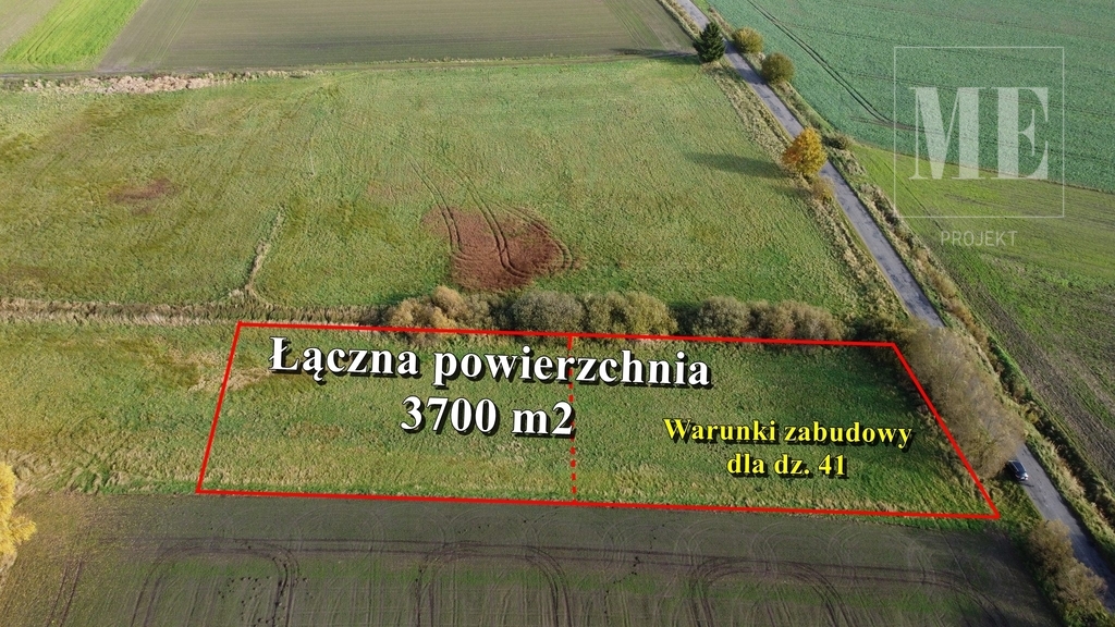 Duża działka na sprzedaż Budzieszowce Maszewo (2)