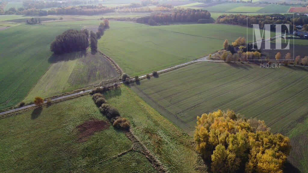 Duża działka na sprzedaż Budzieszowce Maszewo (5)