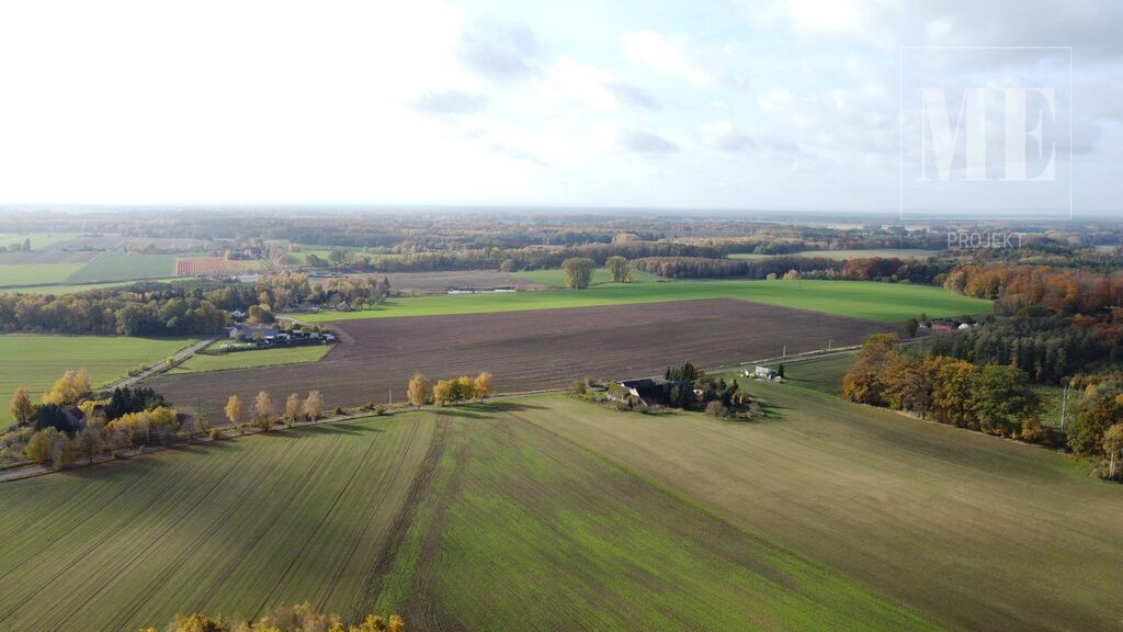 Duża działka na sprzedaż Budzieszowce Maszewo (7)