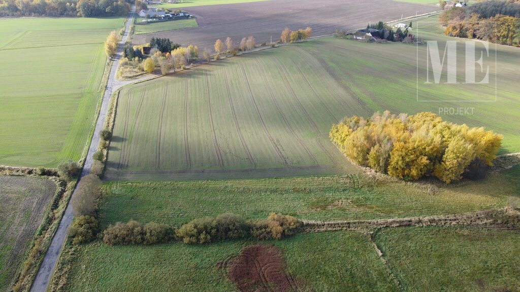Duża działka na sprzedaż Budzieszowce Maszewo (9)