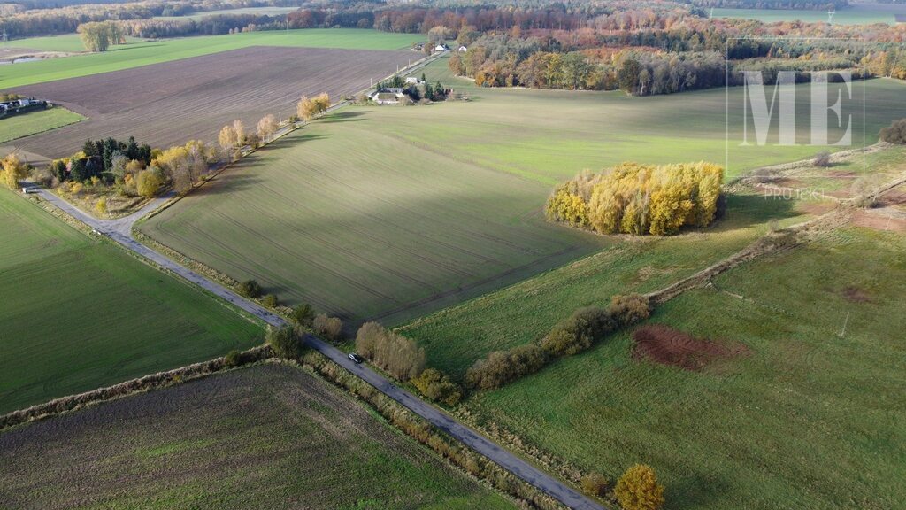 Duża działka na sprzedaż Budzieszowce Maszewo (10)