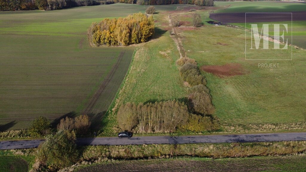 Duża działka na sprzedaż Budzieszowce Maszewo (11)