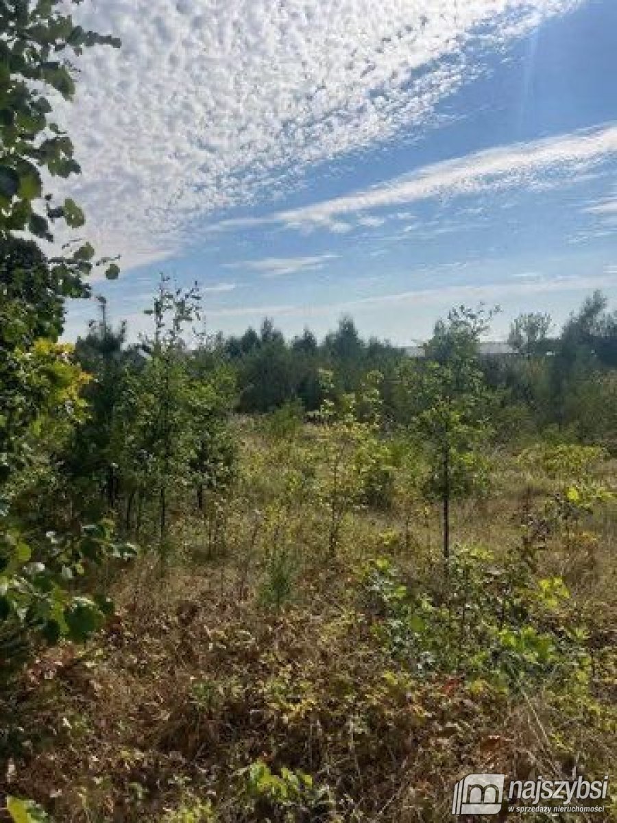 Żółwia Błoć-działka z warunkami  zabudowy 1378 m² (10)