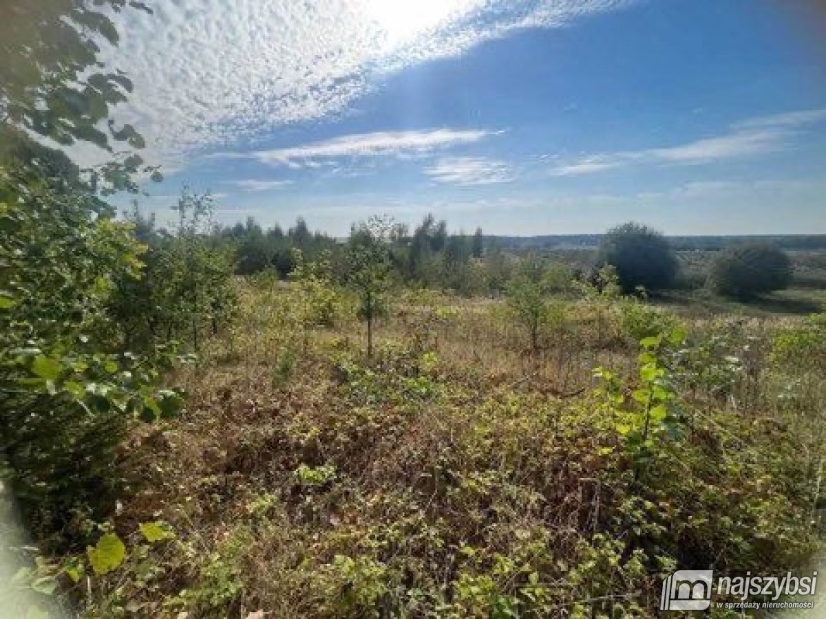 Żółwia Błoć-działka z warunkami  zabudowy 1378 m² (4)