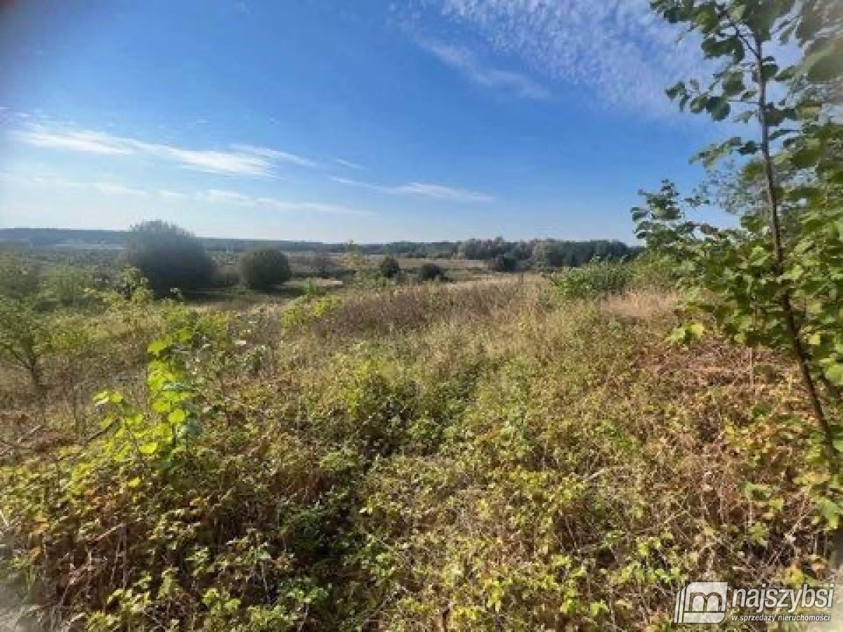 Żółwia Błoć-działka z warunkami  zabudowy 1378 m² (5)