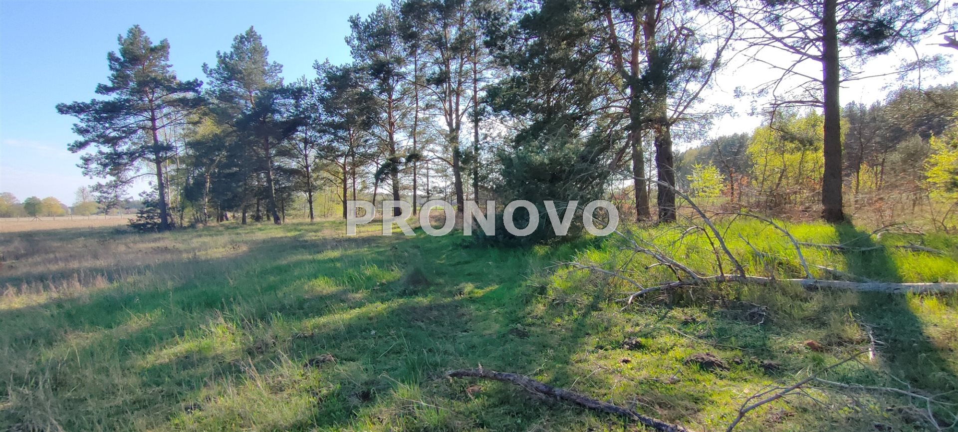 Działka, Stawno  (10)