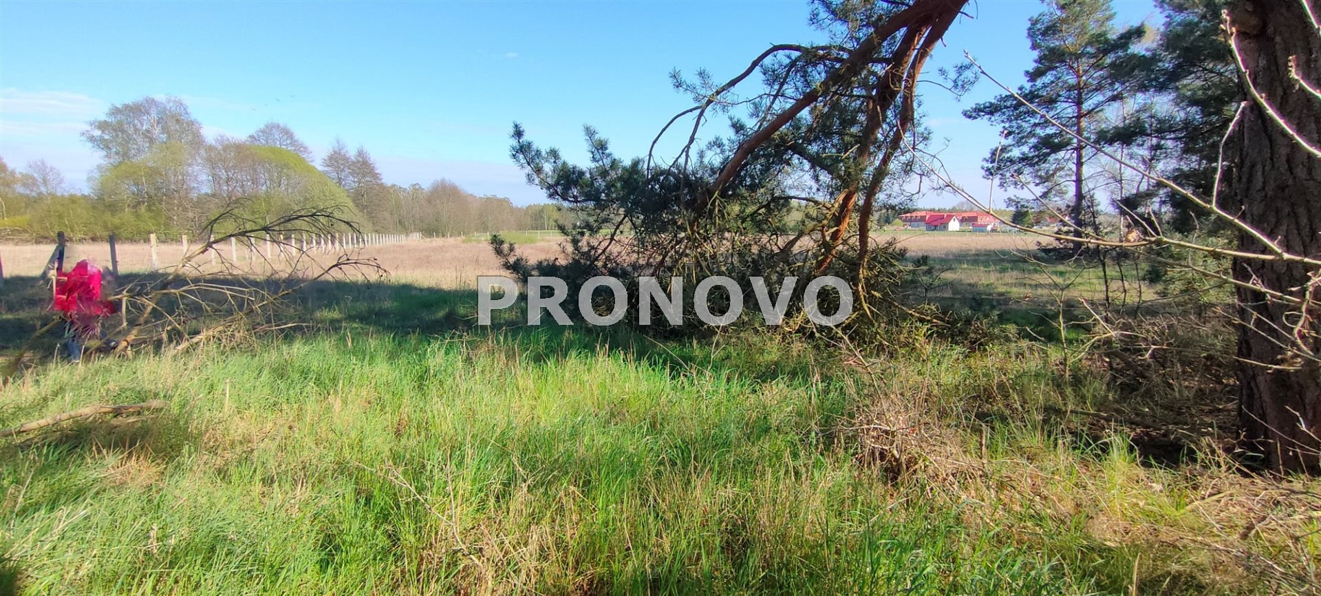 Działka, Stawno  (13)