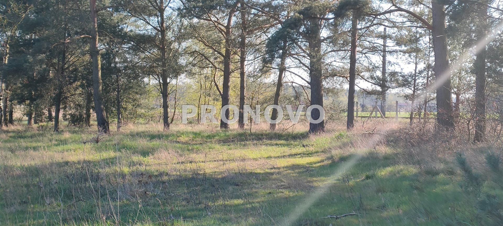 Działka, Stawno  (4)