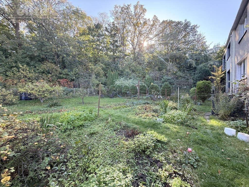 Podjuchy dom 5 pok +garaż, Widok na Puszczę Bukową (1)