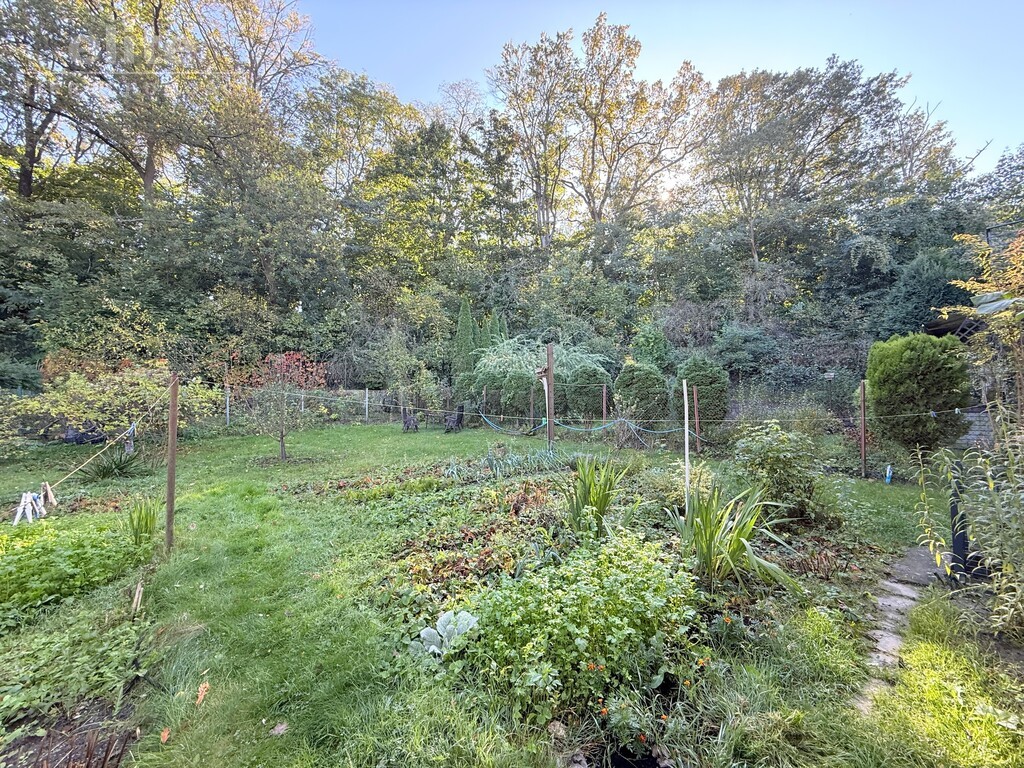 Podjuchy dom 5 pok +garaż, Widok na Puszczę Bukową (3)