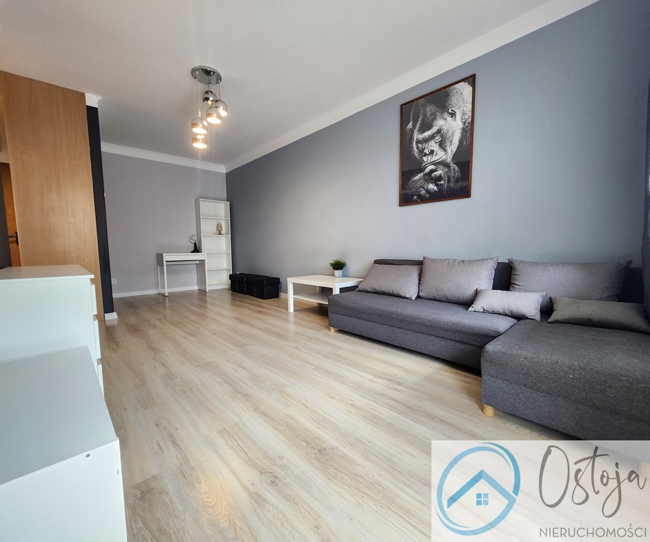 Duża kawalerka z balkonem - Nowa Cegła (2)