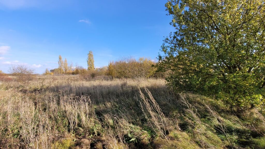 Działka budowlana z warunkami zabudowy Stobno Małe (6)