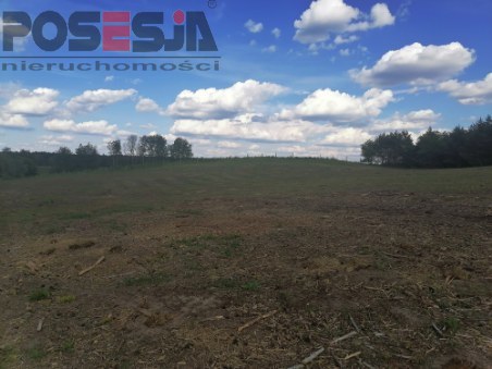 Działka budowlana nad jeziorem k/ Choszczna (5)