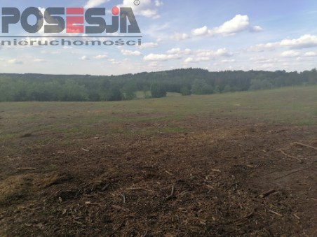 Działka budowlana nad jeziorem k/ Choszczna (2)