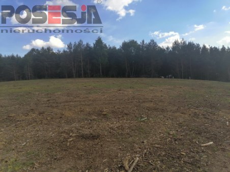 działka budowlana nad jeziorem k/ Choszczna (8)