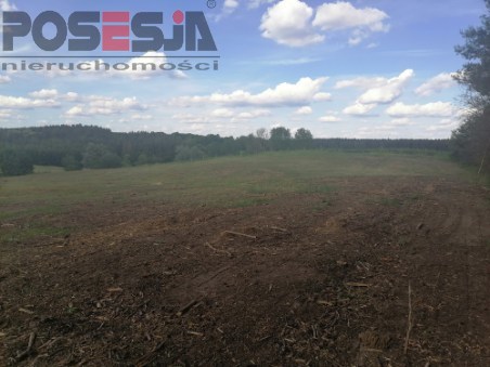 działka budowlana nad jeziorem k/ Choszczna (12)